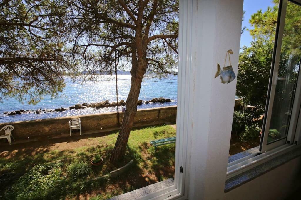 Seafront Beach Apartment - Directly At The Beach 扎达尔 外观 照片